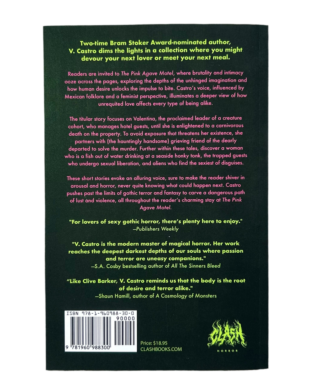 The Pink Agave Motel & Other Stories